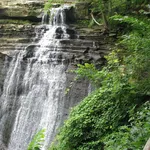 200645-41-62629531