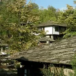 312894-24-65781604