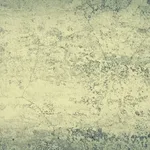 173846-26-31392821