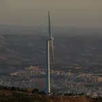 356655-11-73057455