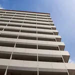 318239-19-66708746