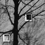 17782-13-medium