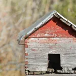 389115-18-101841718
