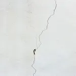 388681-2-101374613