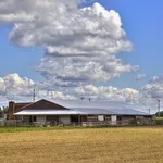 200815-17-43363589