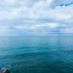 296537-17-63551701