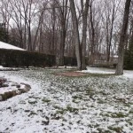 1484-8-image_medium