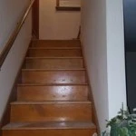 25004-7-17239810