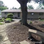 192662-55-56096626